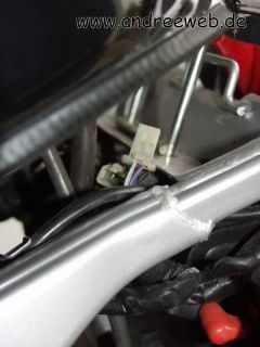 Stecker unterm Tank vom �ldruckschalter. Zum Vergr��ern Doppel-Klick