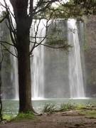 Wasserfall bei Whangarei