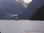 Morgens am Milford Sound