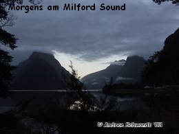   Morgens am Milford Sound
